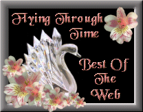 Flying Through Time - Best of the Web Award
